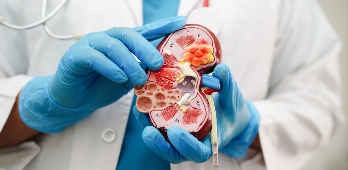 Cardiologia